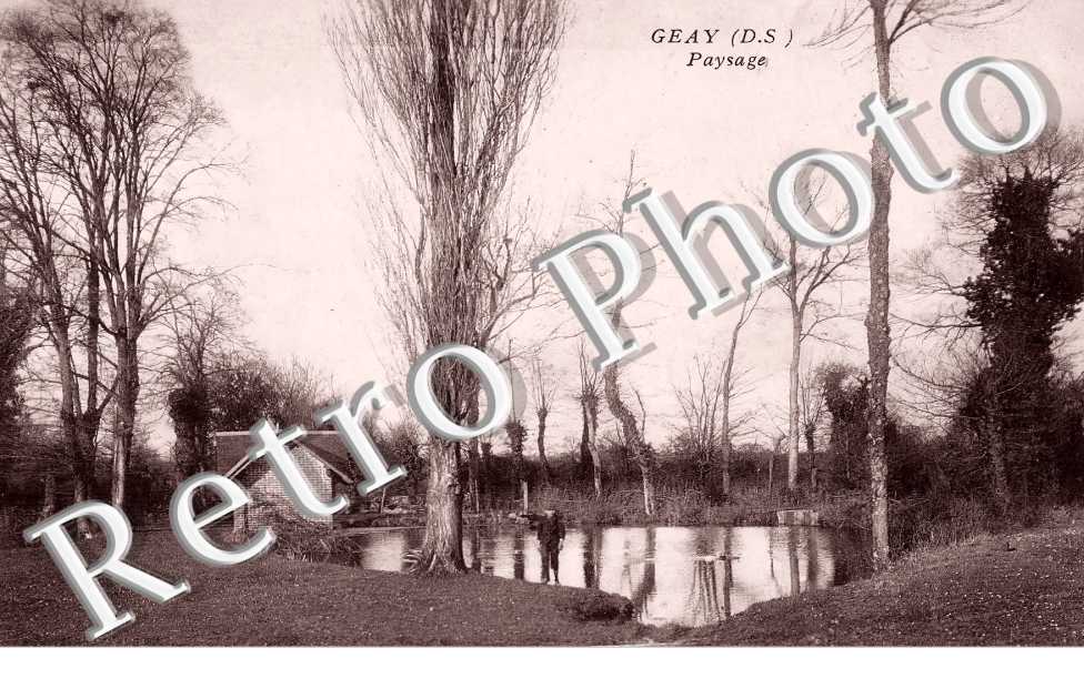 paysage