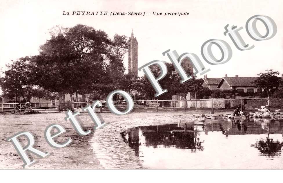 vue principale