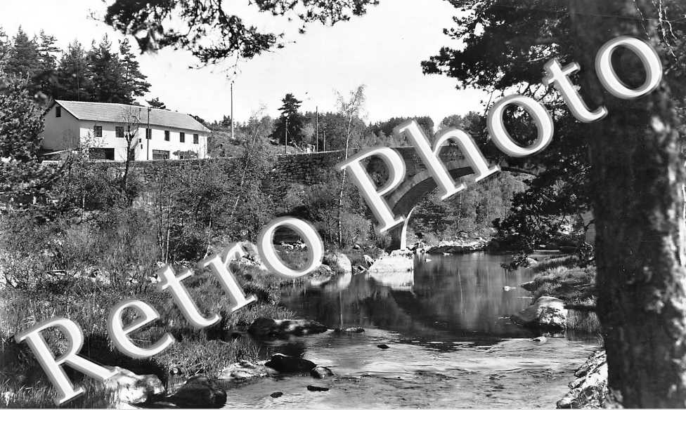 le pont
