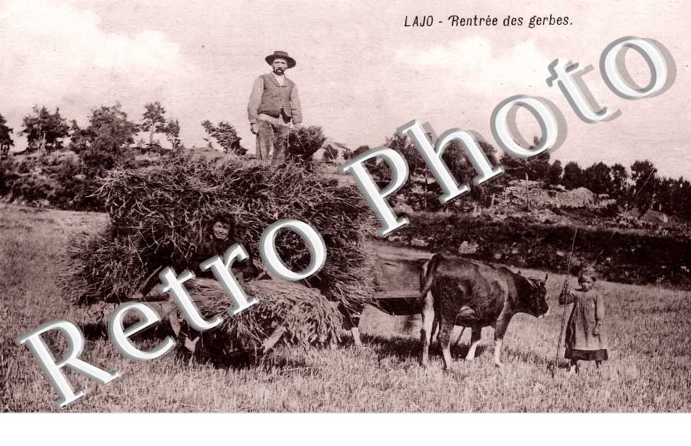 rentrée des gerbes