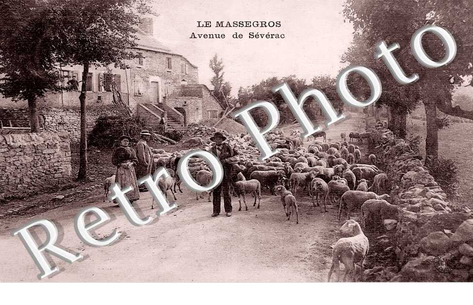 avenue de Sévérac
