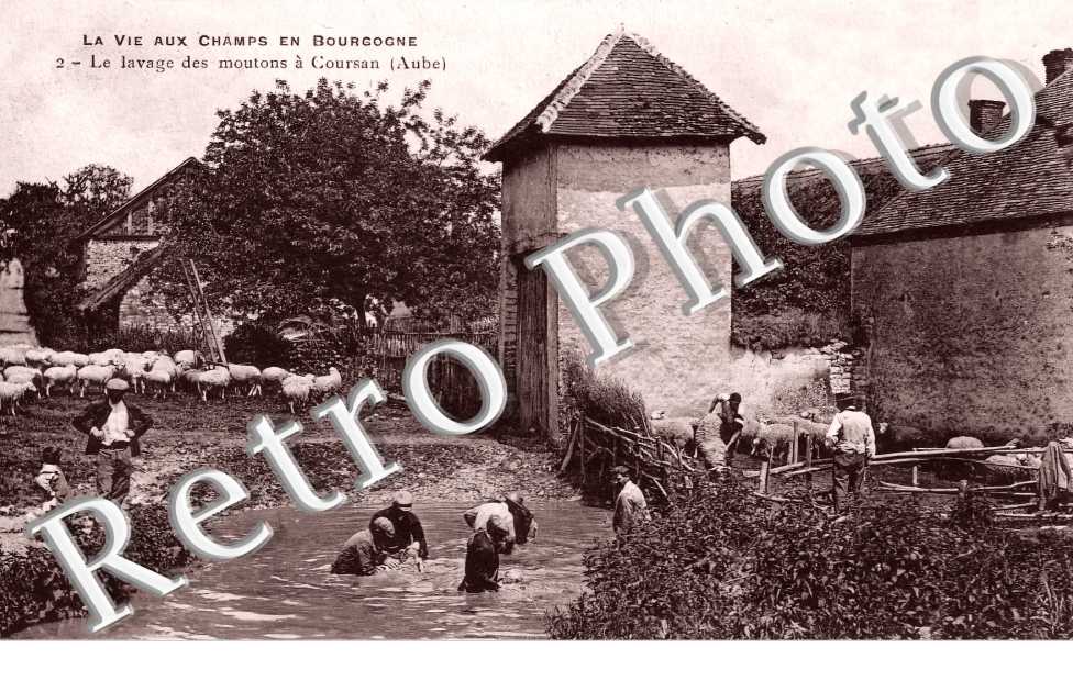 le lavage des moutons
