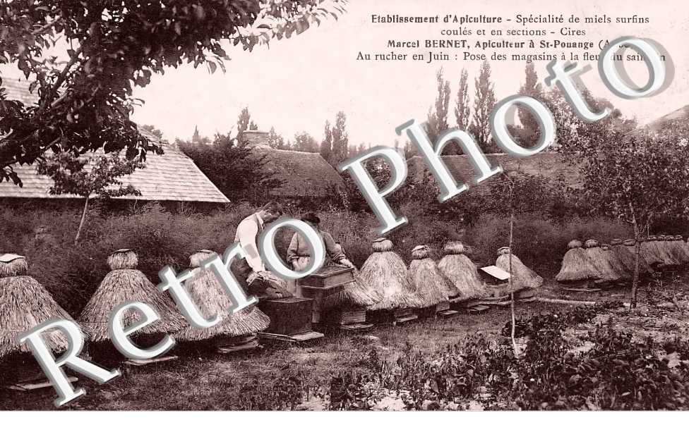 Etablissement d'Apiculture. Marcel Bernet