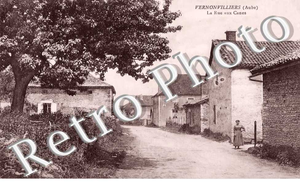 la rue aux Canes