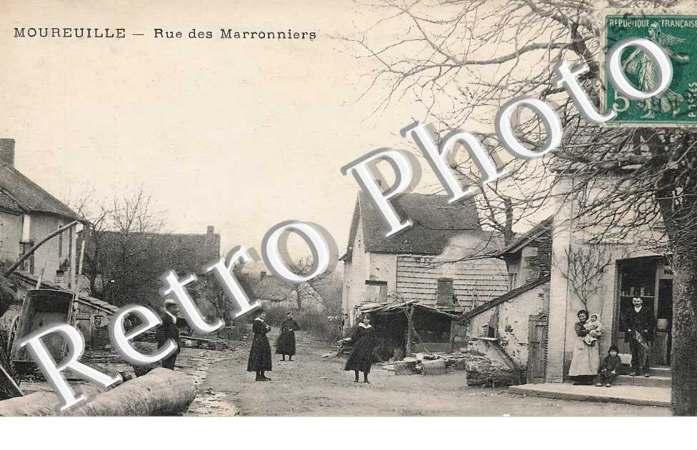 rue des Marronniers