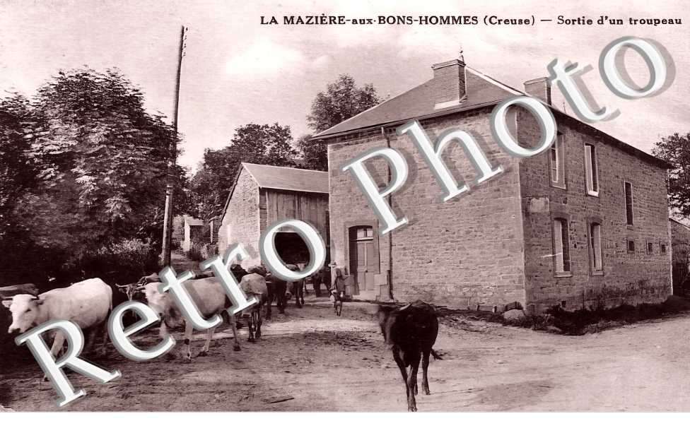 sortie d'un troupeau