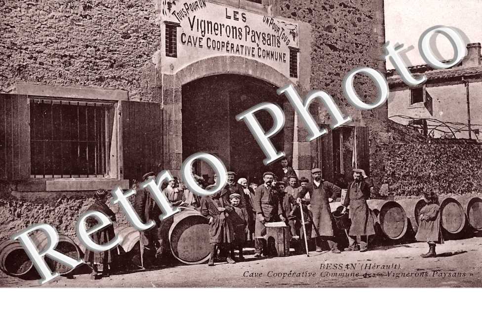 Cave coopérative Commune des Vignerons Paysans