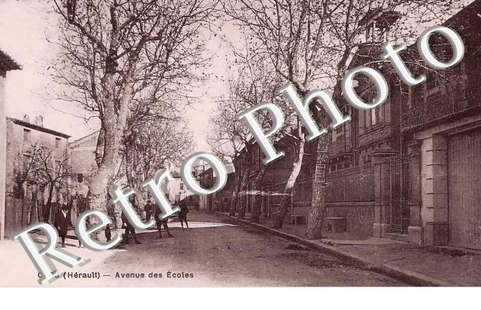 avenue des écoles