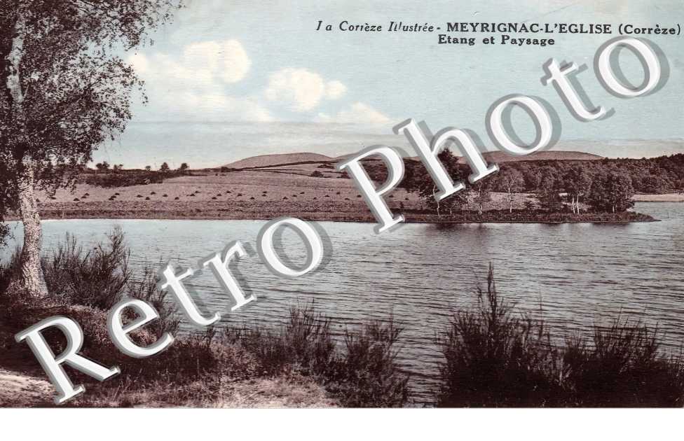 étang et paysage