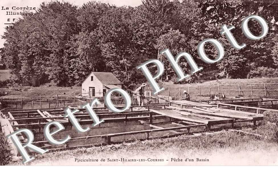 Pisciculture. Pêche d'un Bassin
