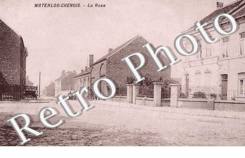 WATERLOO-CGENOIS. La Rose