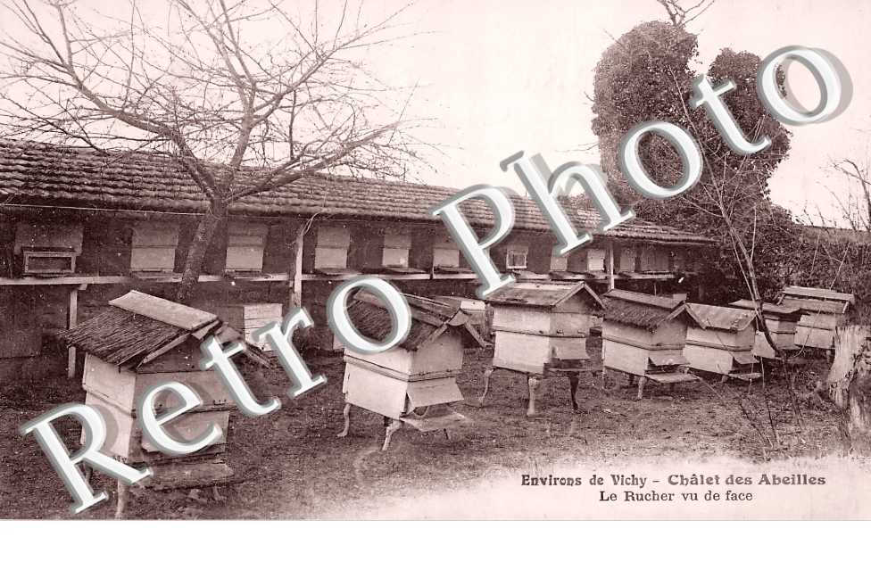 Châlet des Abeilles. Le rucher.
