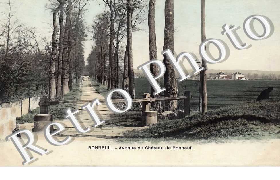 avenue du château de Bonneuil
