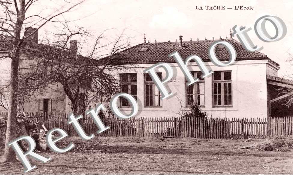 l'école