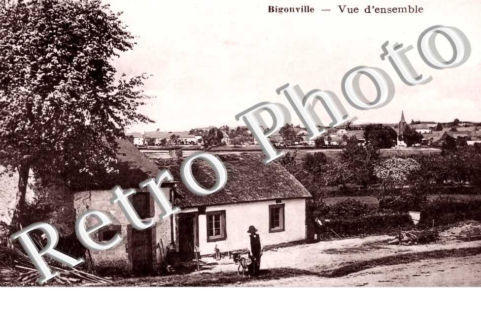 vue d'ensemble