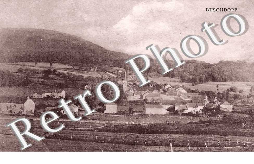 vue générale