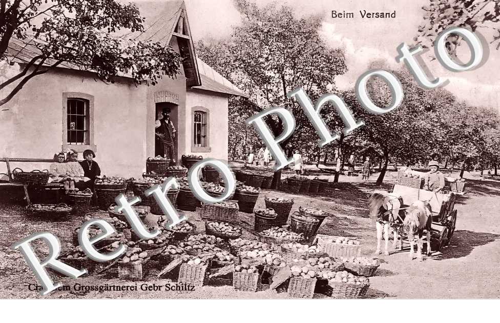 Beim Versand. Crauthem Grossgärtnerei Gebr. Schiltz