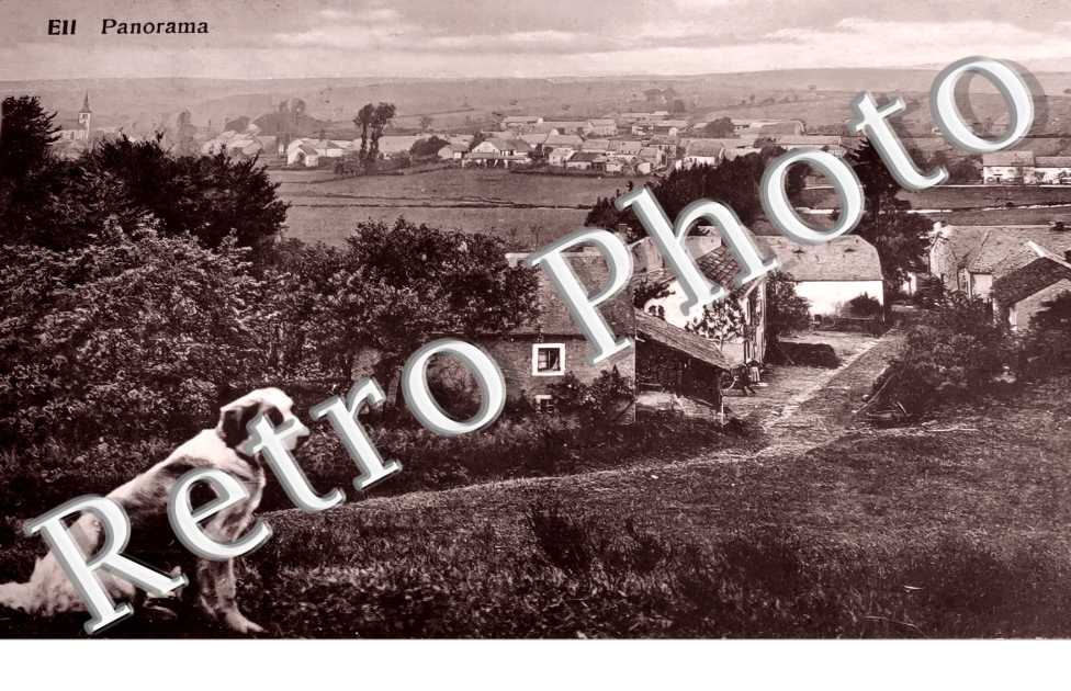 panorama