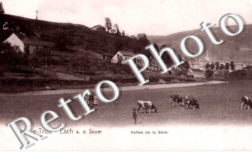 vue générale