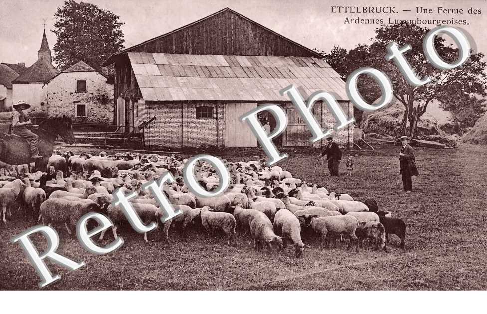 une ferme des Ardennes Luxembourgeoises