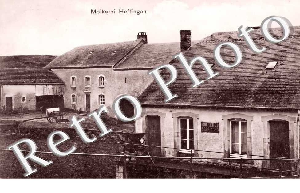 Molkerei