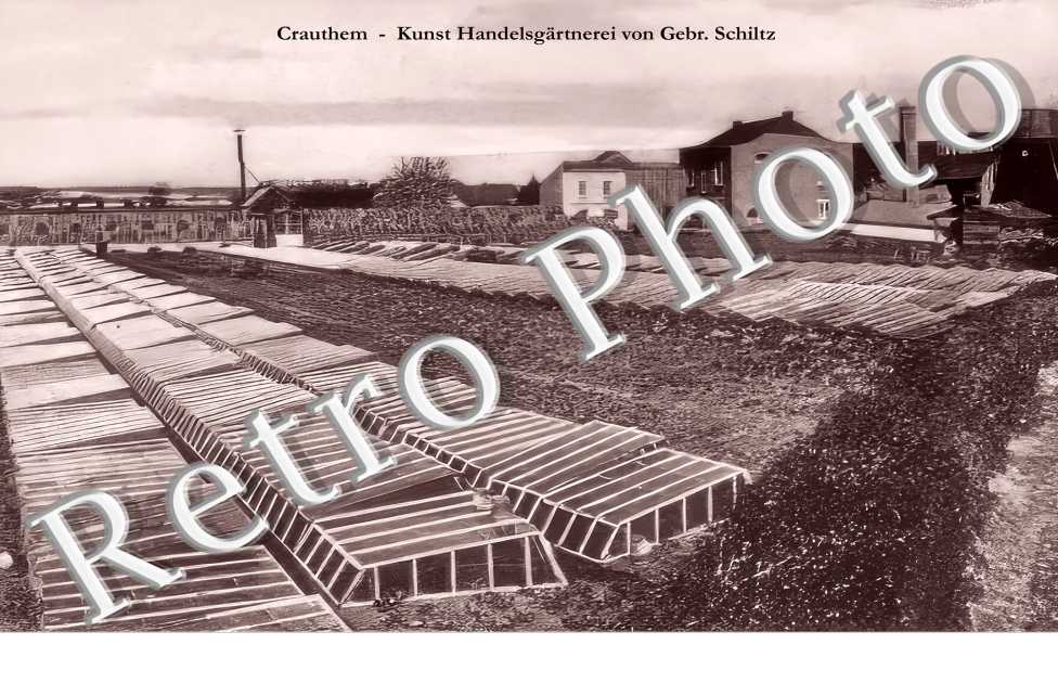 Kunst Handelsgärtnerei von Gebr. Schiltz