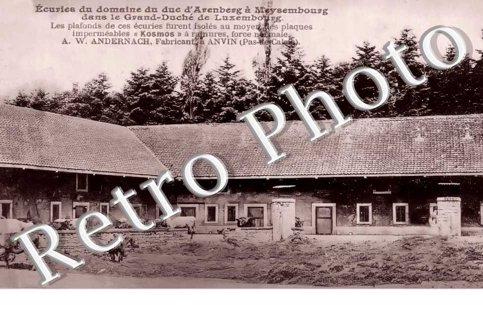 Ecuries du Domaine du duc d'Arenberg