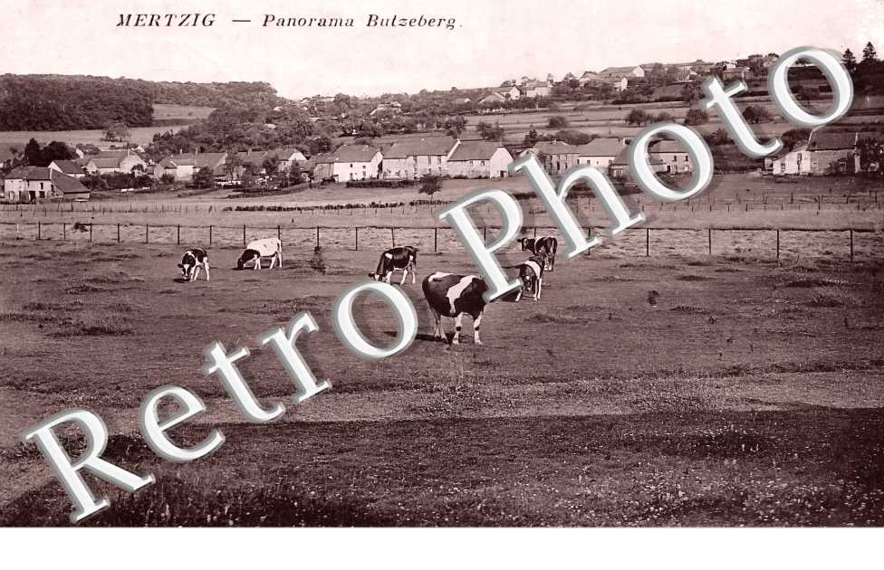 panorama Butzeberg
