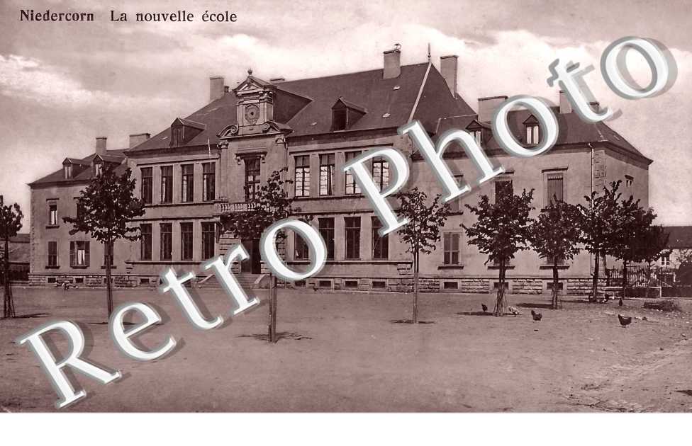 la nouvelle école