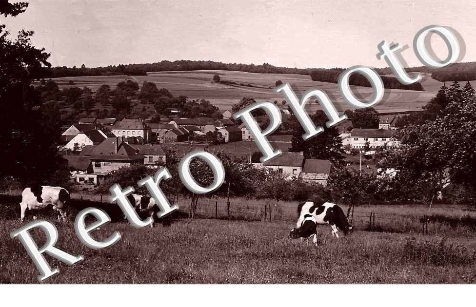 vue générale