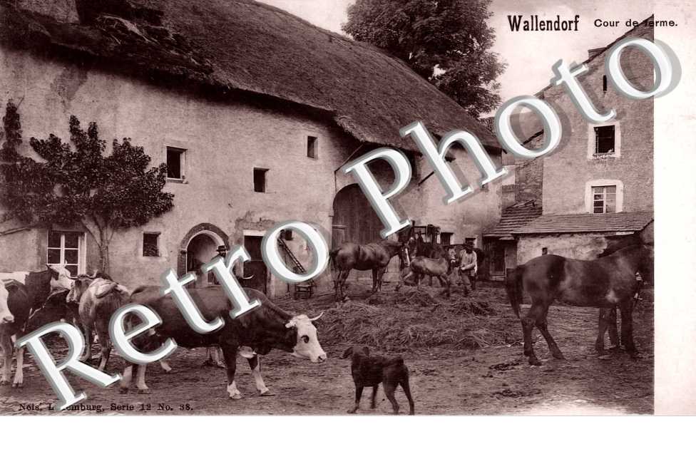Cour de ferme