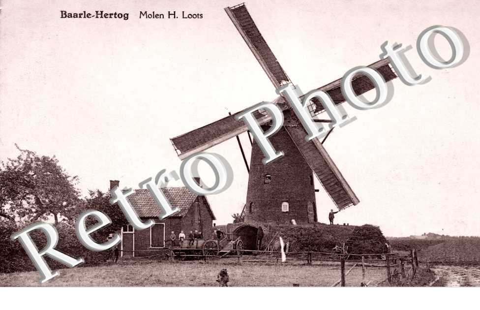 Baarle-Hertog. Molen H. Loots