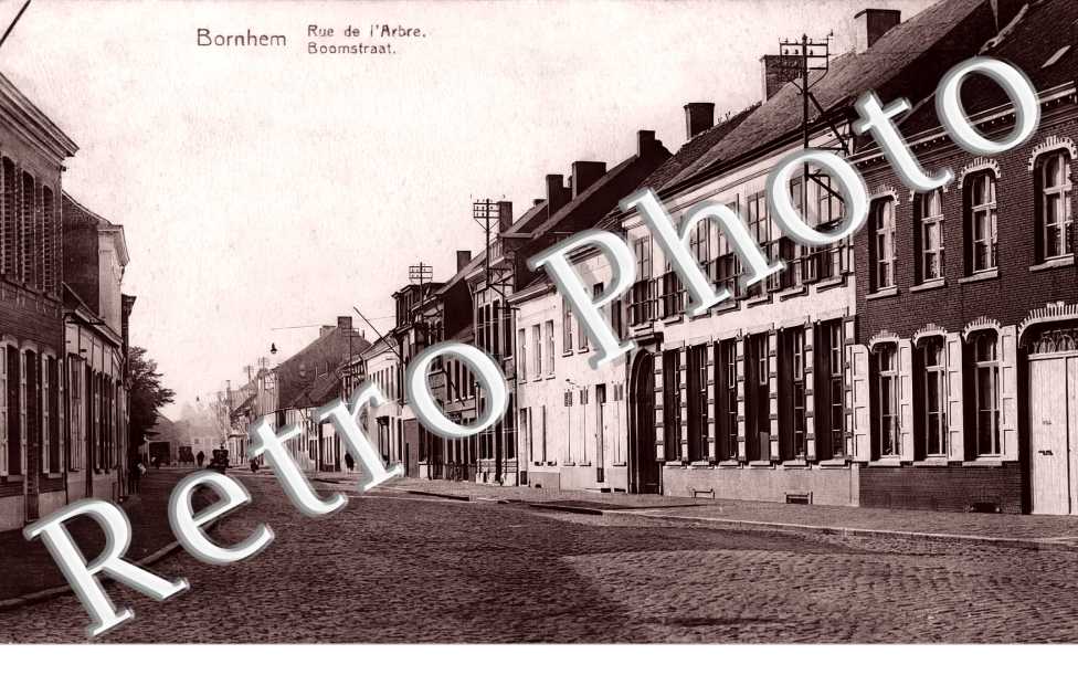 rue de l'arbre