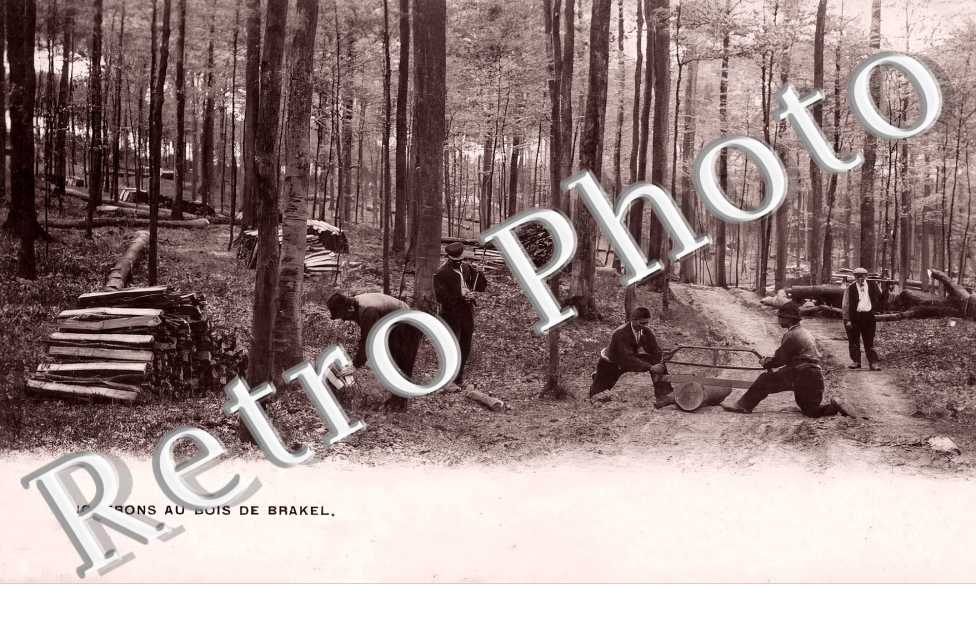 Bucherons au bois de Brakel