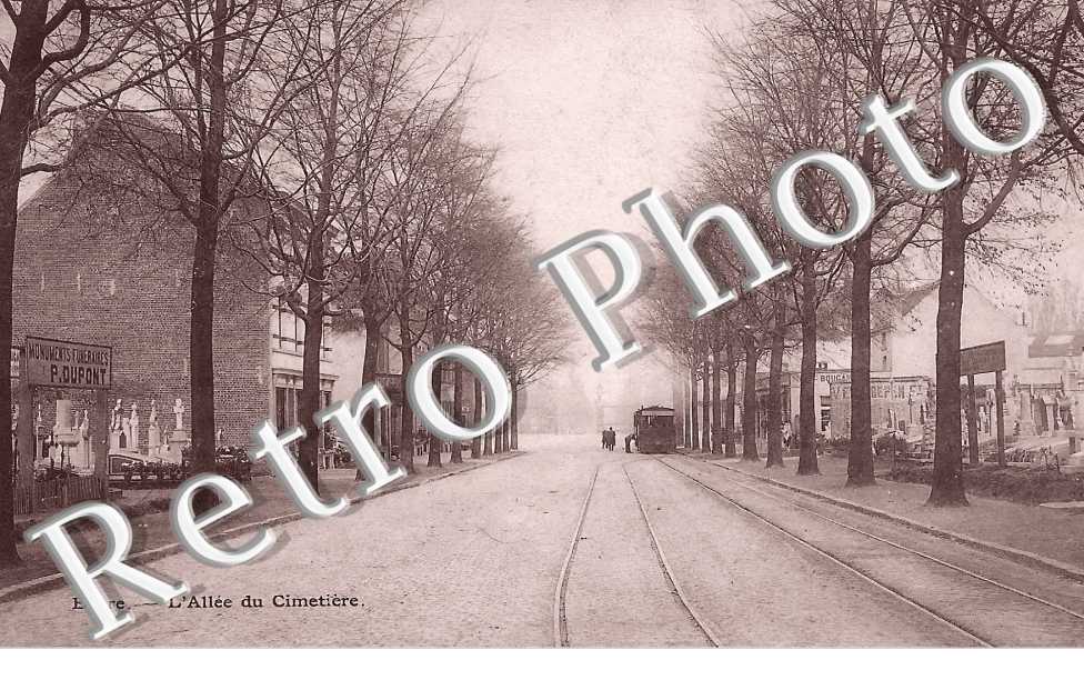 l'allée du cimetière