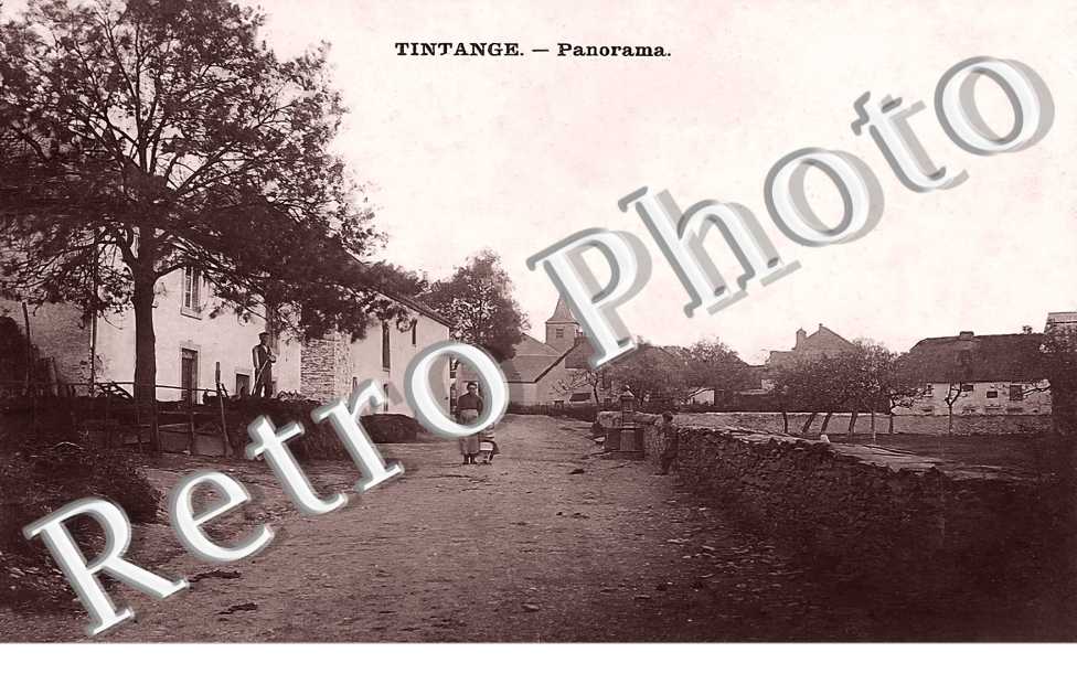 Tintange Panorama
