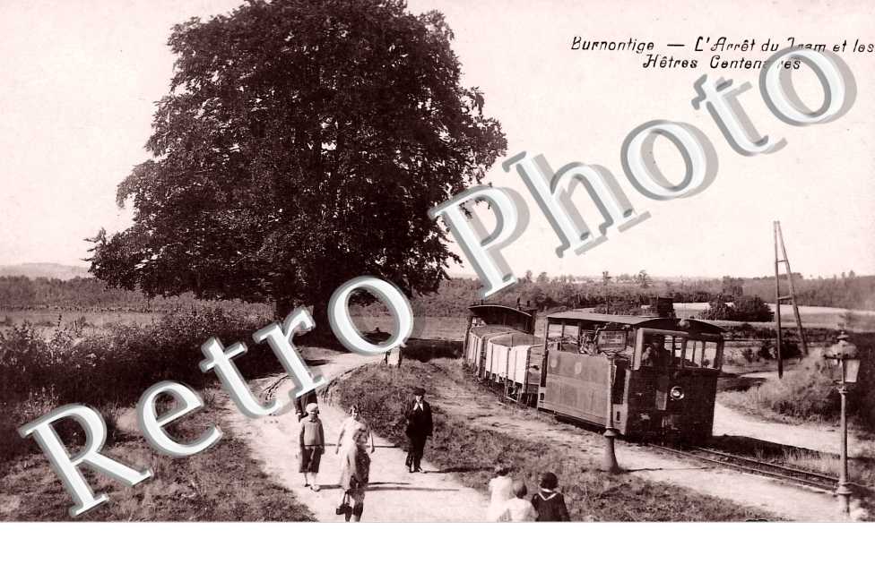 Burnontige. L'Arrêt du Tram et les Hêtres Centenaires