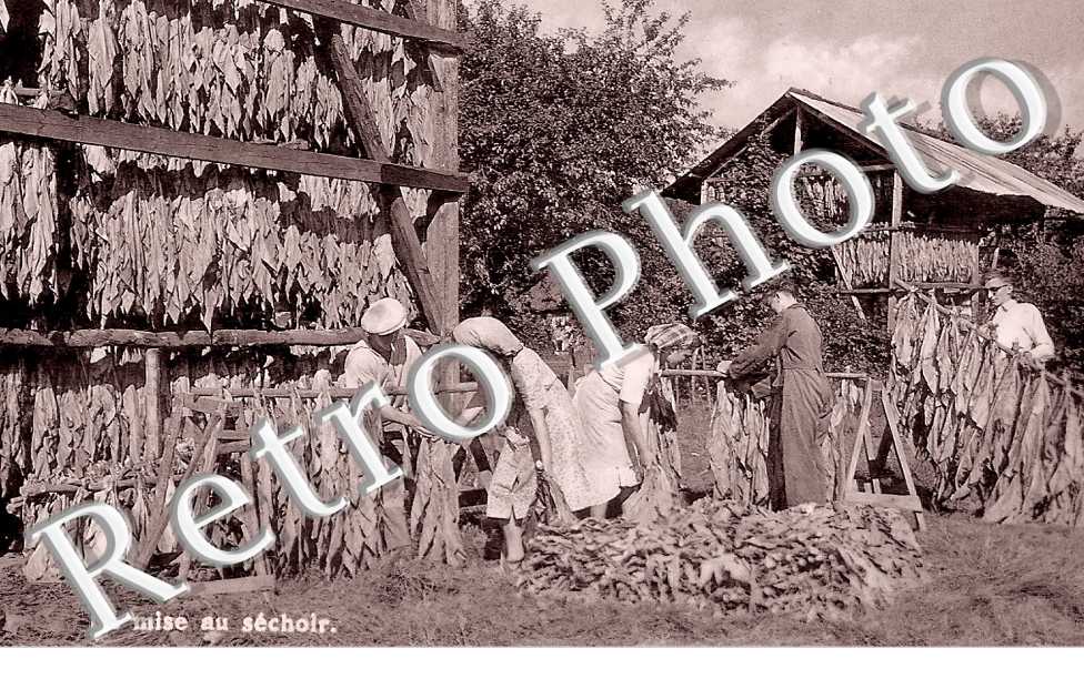 la mise au séchoir