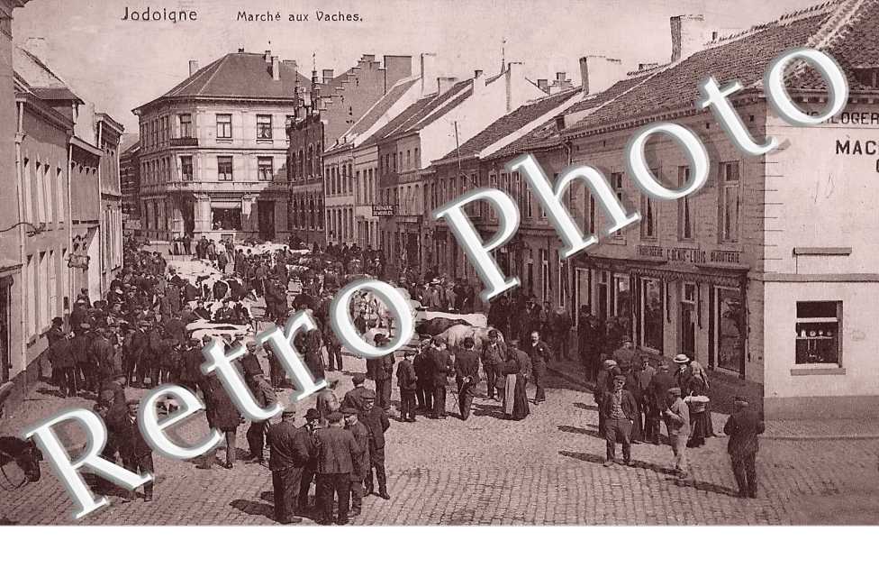 Marché aux vaches