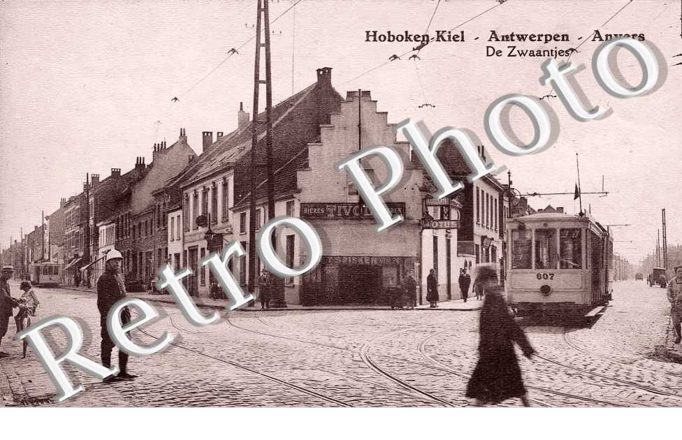 De Zwaantjes