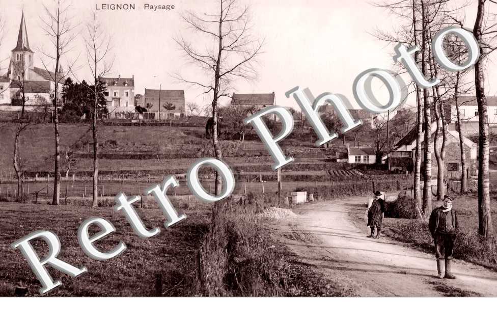 paysage