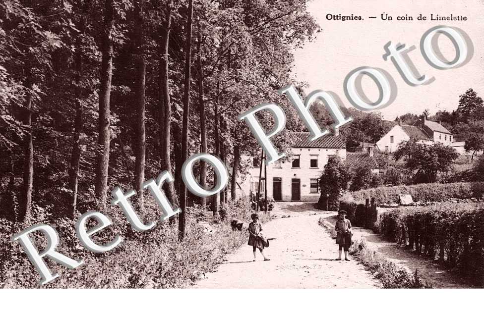OTTIGNIES. Un coin de Limelette