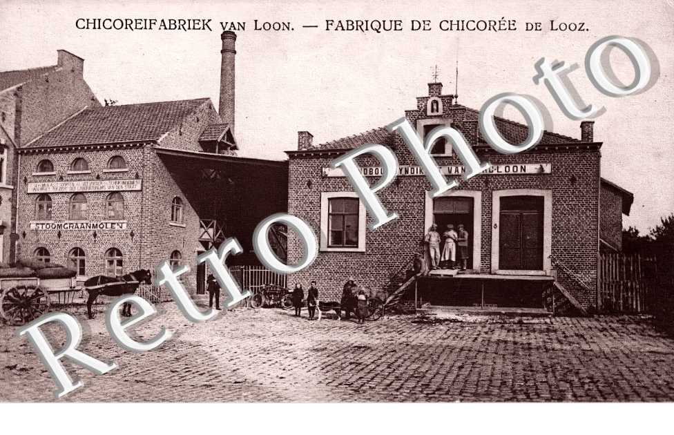 Chicoreifabriek van Loon. fabrique de chicorée de Looz