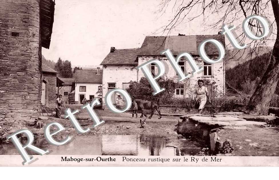 Ponceau rustique sur le Ry de Mer