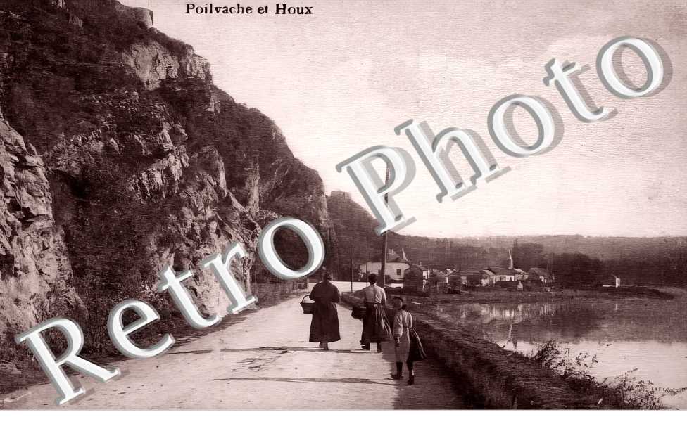 Poilvache et Houx