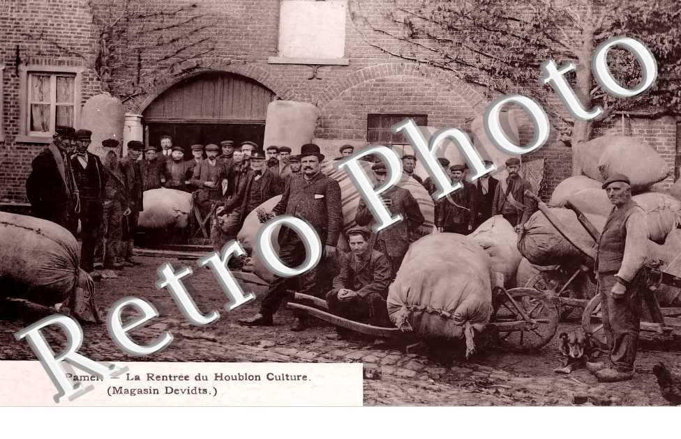 Pamel. La rentrée du Houblon Culture