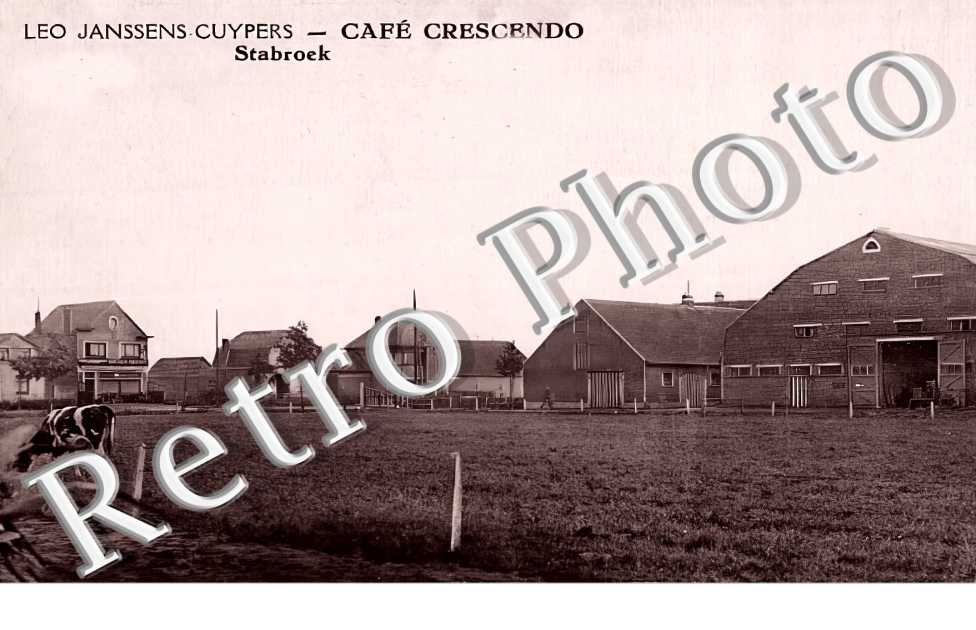 Leo Janssens-Cuypers. Café Crescendo