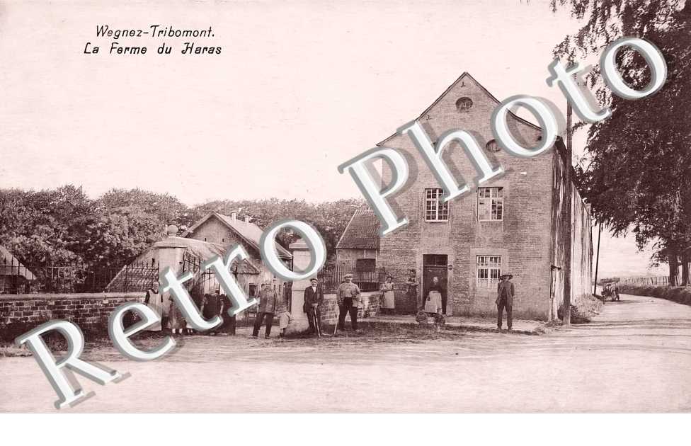 Wegnez-Tribomont. la Ferme du Haras