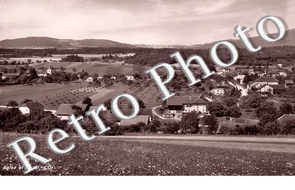 vue générale