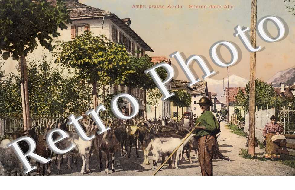 Ritorno dalle Alpi